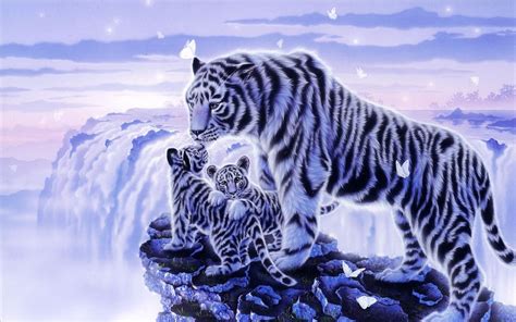 Cool White Tiger Wallpaper