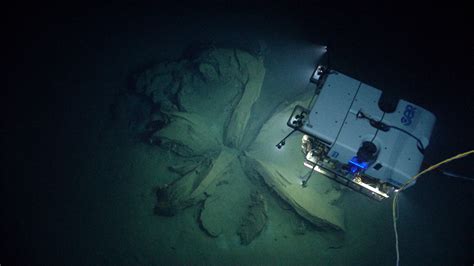 Noaa Ocean Explorer Technology Submersibles Deep Discoverer
