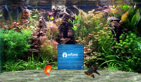 Fantastic 3d Fish Aquarium Screen Saver Free Download