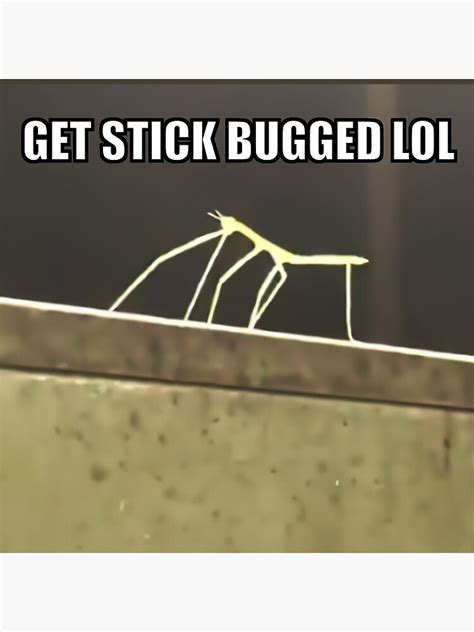 Get Stick Bugged Lol Metal Print For Sale By Goath Redbubble
