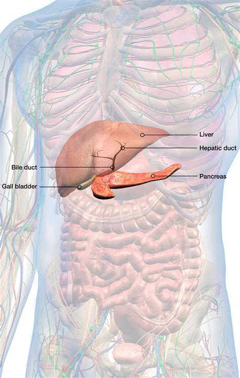 Pancreatic Cancer Surgical Treatment At Scmsc