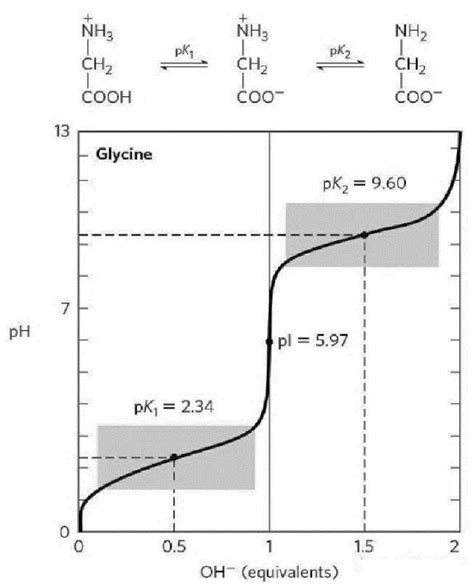 Pi Of Glycine With Titration Curve Download Scientific Diagram