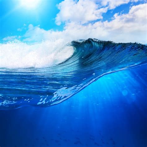 Big Surfing Scean Breaking Wave In Sunlight — Stock Photo © Vitaliy