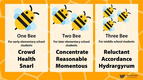 Spelling Bee Tools Tips And Strategies Wordfinder
