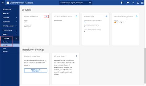 Configure Netapp Ontap System Manager To Use Vmware Identity Manager As