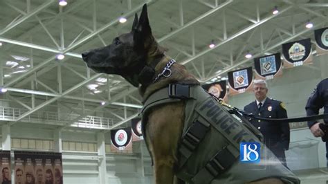 Area K9 Officers Get New Protective Vests Youtube