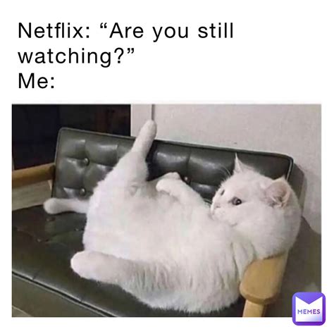Netflix Are You Still Watching Me Alexlife1206 Memes