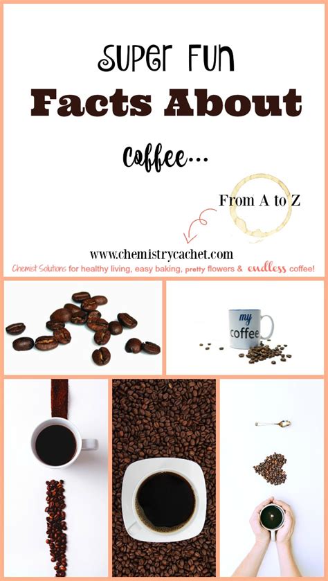 Super Fun Facts About Coffee From A To Z
