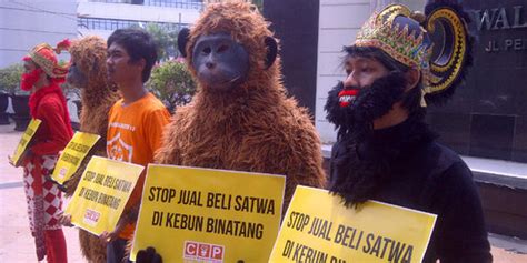04.10.2020 · nonton dan download video bokep ngewe binatang dan manusia mp4. Diduga jual hewan, dokter kebun binatang Semarang terancam ...