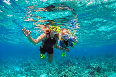 10 Best Snorkeling Spots Around Miami American Oceans