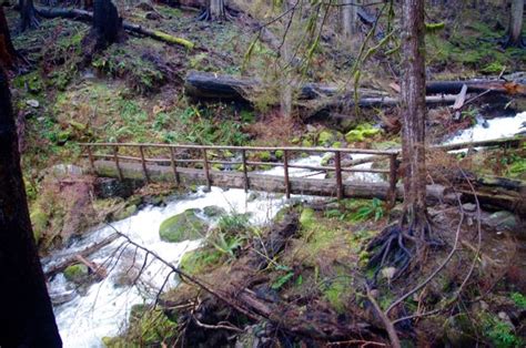 Filefootbridge West Fork Multnomah Creek Larch Mountain Trail