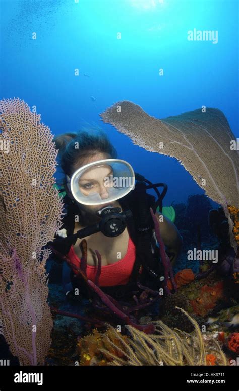 Woman Scuba Diver In Coral Swimsuit By Sea Fans On Nice Wall Divesite