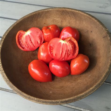 Amish Paste Tomato Seeds Hudson Valley Seed Company