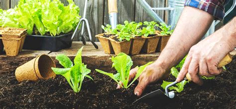 Feb 13, 2018 · unplug and plug back in your wifi adapter (if external) or ethernet cable. Amanda Arnold Awesome August Gardening... Enjoy your ...