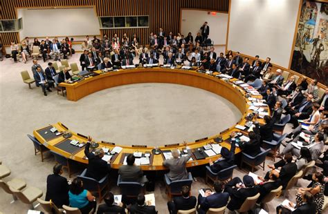 Reforming the UN Security Council - a Tale of Blood, Sweat and Tears?