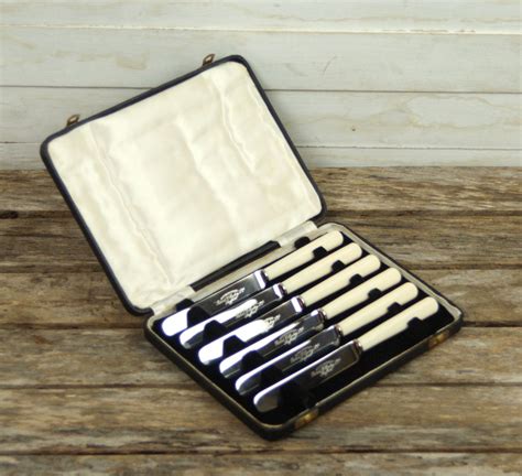 Boxed Butter Knives Set Of 6 Faux Bone Handle And Stainless Etsy Uk