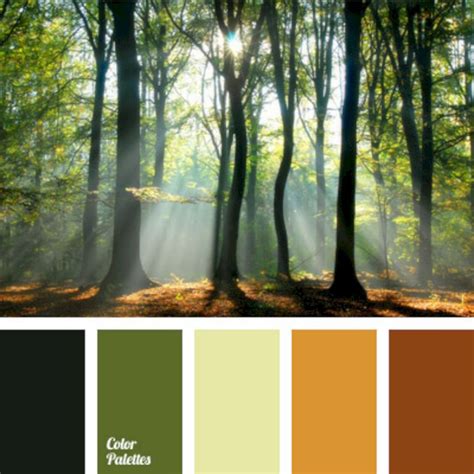 Best Nature Color Palette For Beautiful House 09 Nature Color Palette