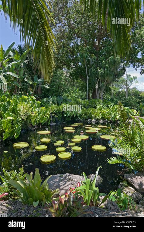 Fairchild Tropical Botanical Gardens At Coral Gables A Suburb Of Miami