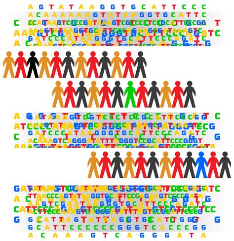 Big Data In The Post Genome Era What Can The Human Genome Sequence Do