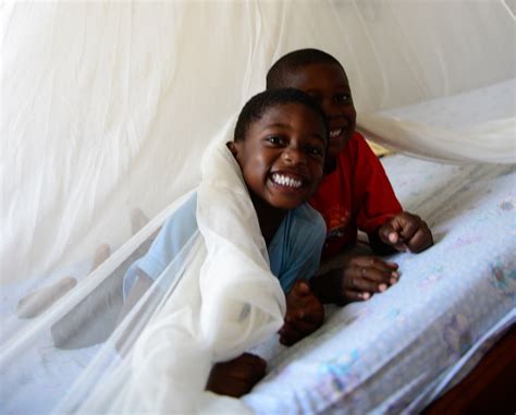 Who And Partners Launch New Country Led Response To Put Stalled Malaria