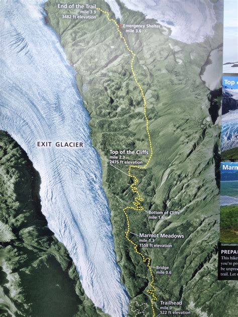 Exit Glacier Has Many Trails That You Can Choose From Kenai Fjords