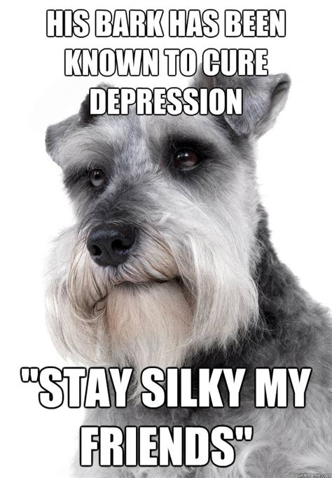25 Funny Memes That Cure My Depression Factory Memes