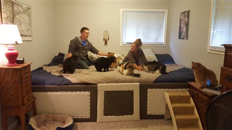 Couple Build Bed To Share With Their Cats And Dogs