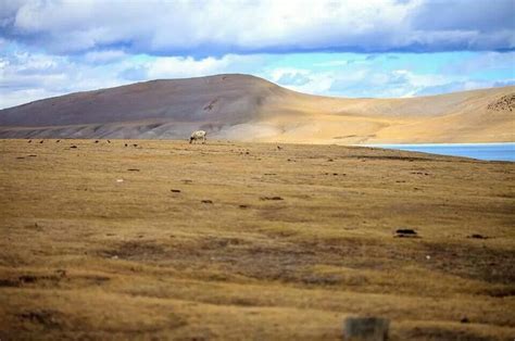 Northern Mongolia Steppes Natural Landmarks Steppe Photo