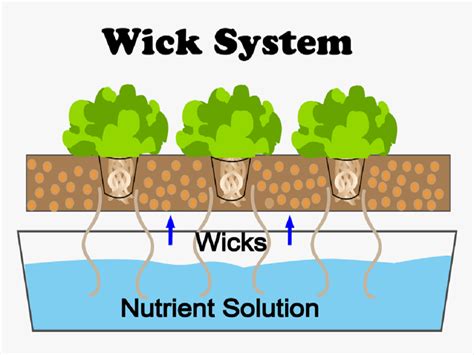 How To Set Up Wick Hydroponic System For Indoor Vegetable And Herb