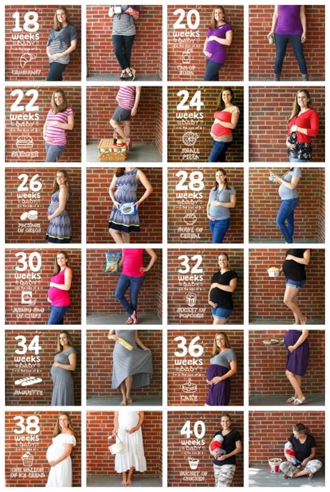 Baby Bump Photos Weekly Progression — The Organized Mom Life
