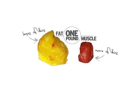 Weight Loss Or Fat Loss Whats The Difference Healtheo
