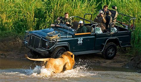 Kruger National Park South African Safari And Lodging Guide