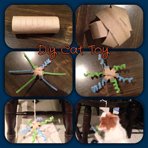 Diy Toilet Paper Roll Cat Toy Instructions On The Way Soon Diy Cat Toys Cat Toys Cat Diy