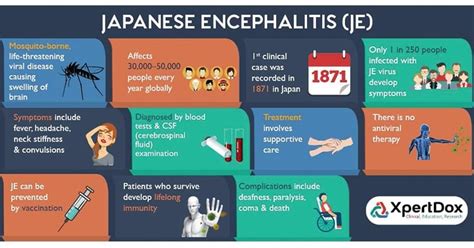 Japanese Encephalitis Je Virus An Overview