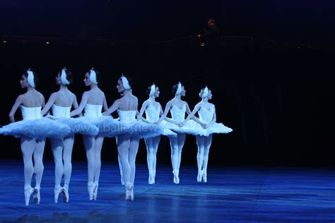 Ballet News Reviews English National Ballets Swan Lake In The Round