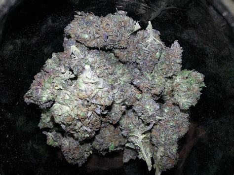 Photos Of Purple Alien Og Weed Strain Buds Leafly