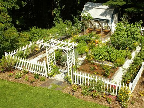Bagaimana cara memulai berkebun hidroponik? Tips Berkebun Sayur di Halaman Rumah | BangunRumah.com