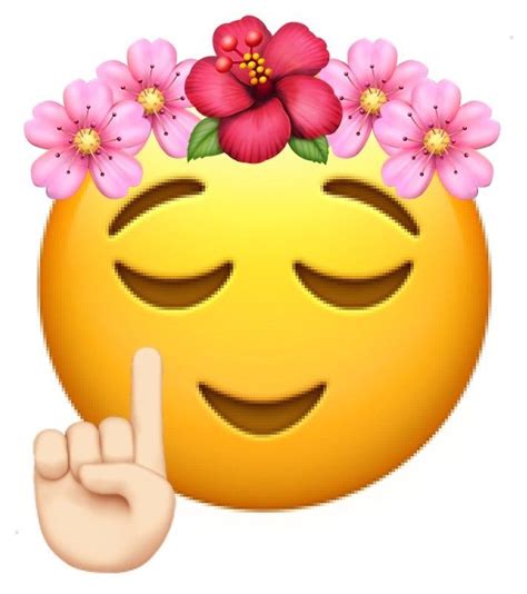 A Smiley Face With Pink Flowers On Its Head And The Finger Up In Front Of It