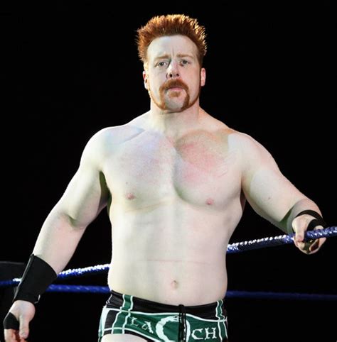Wwe Sheamus Wallpapers Free Download Free All Hd Wallpapers Download