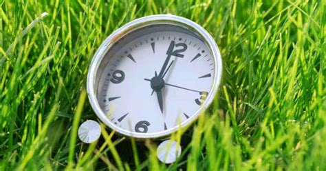 Check spelling or type a new query. When Is The Best Time To Water Your Lawn In Hot Weather To ...
