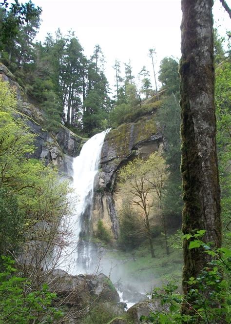 Saw something that caught your attention? Scenery: Golden and Silver Falls (Coos Bay, OR) | ThriftyFun