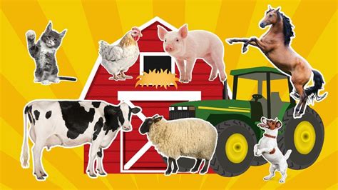 30 Min Farm Animals For Kids Farm Animal Sounds Learn Farm Animals