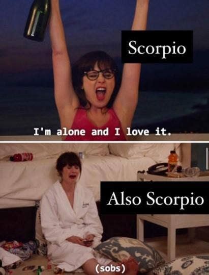 50 Best Scorpio Memes That Describe This Zodiac Sign Yourtango