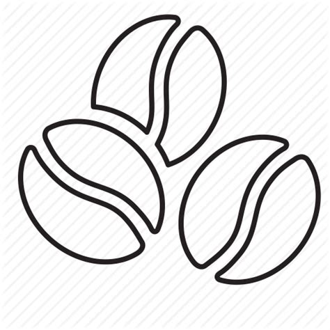 Coffee Bean Icon Png