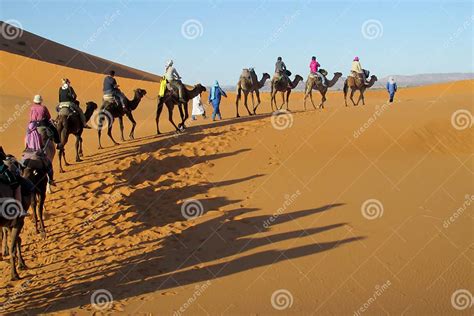 Cameleer With Camel Caravan In Desert Editorial Stock Photo Image Of