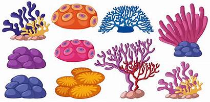 Coral Reef Vector Types Clipart Different Reefs