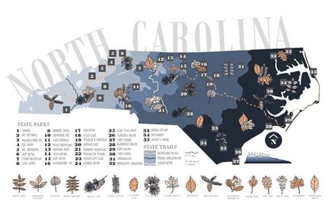North Carolinas State Parks And Trails Decorative Map 11x17 Etsy