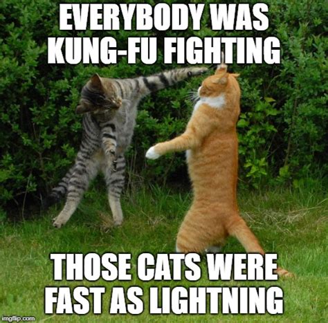 Kung Fu Cats Imgflip