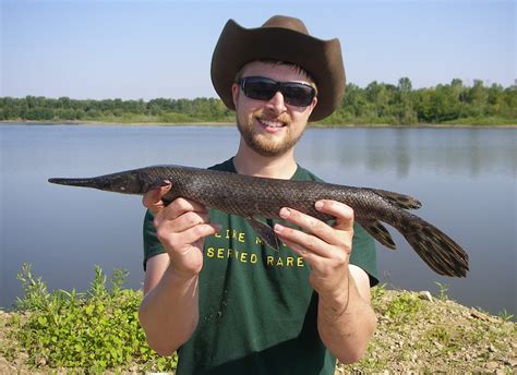 Ben Cantrells Fish Species Blog Illinois River Backwaters