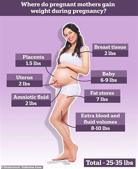 Where Do Women Gain Weight In Pregnancy How Weight Gain Distributed On